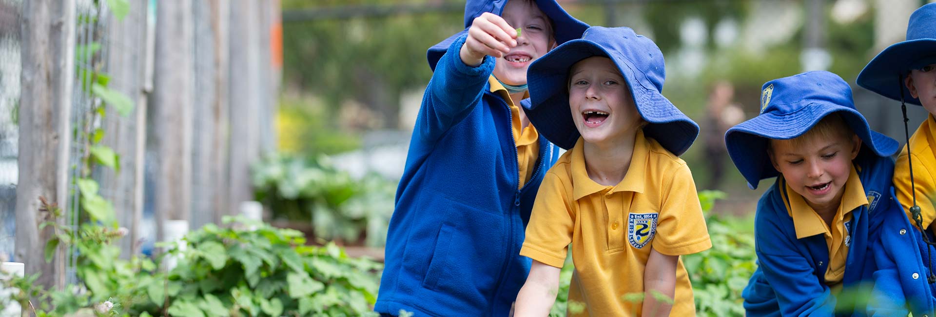 students gardening at a raised planter bed